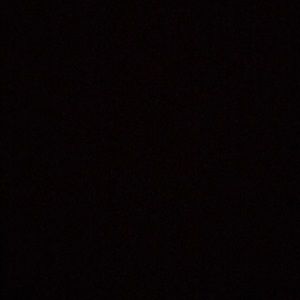 Meet your Posher, Ivy